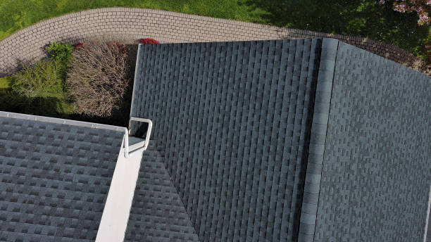 Best Roof Moss and Algae Removal  in Avon, OH